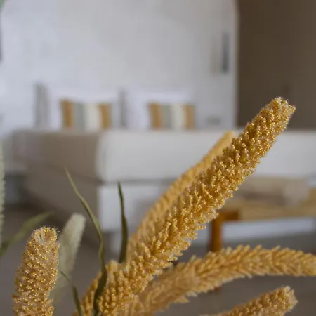 Thea Cave - Heated Infinity Pool